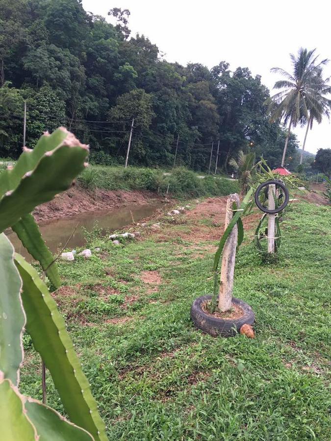 Panorama Homestay Jeram  Ngoại thất bức ảnh